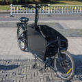 750W front loading ebike 2 wheel cargo ebicycle